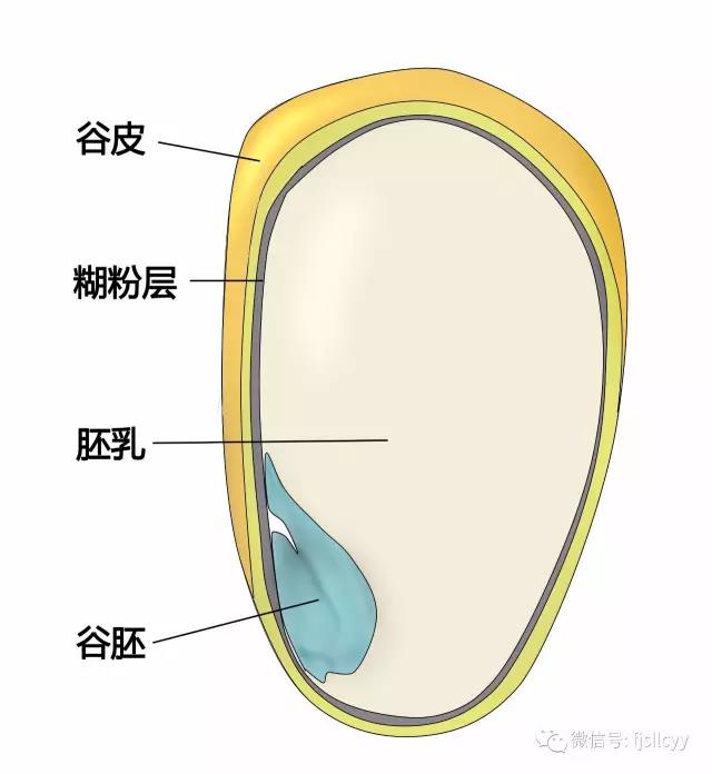 新闻动态-福州大学附属省立医院(福建省立医院)