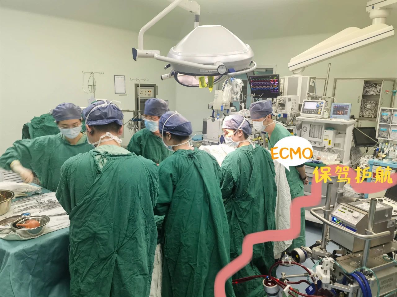 全省首例！多学科协作战胜“产科禁区” ECMO辅助高危产妇剖宫产