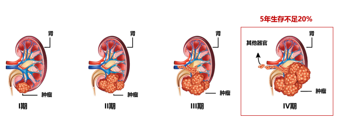 微信图片_20240627092605.png
