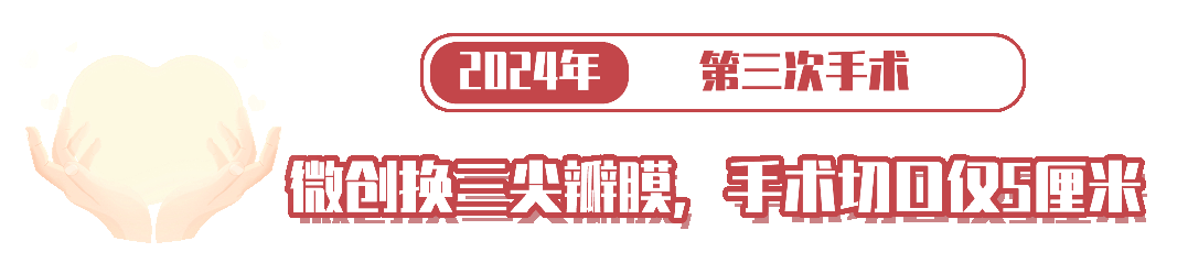 微信图片_20241216102129.gif