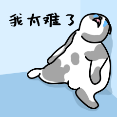 微信图片_20240514165705.gif