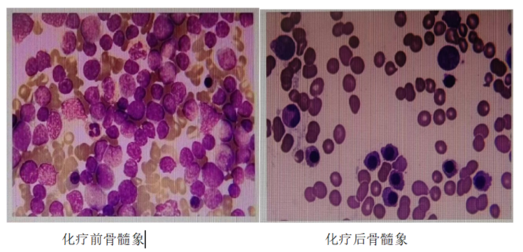 微信图片_20240419170510_1.png