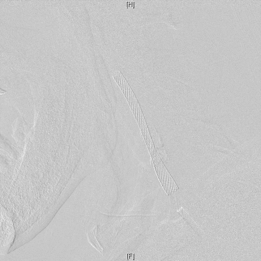 微信图片_20250328172436.gif