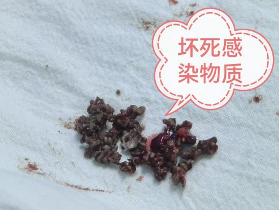 微信图片_20250303170407.png