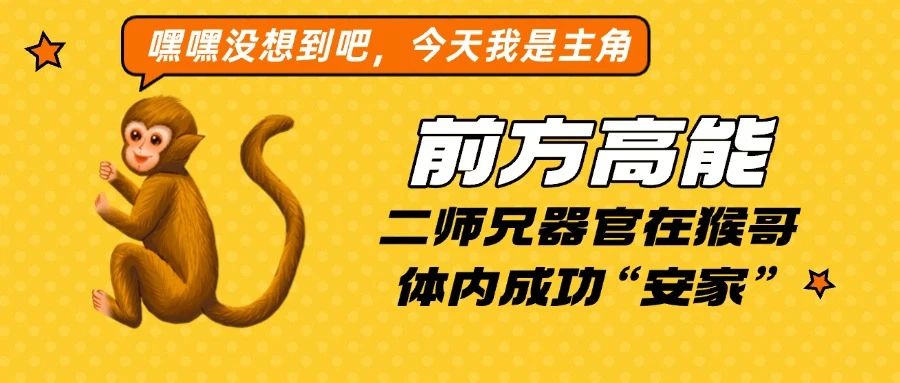 微信图片_20250428103635.jpg