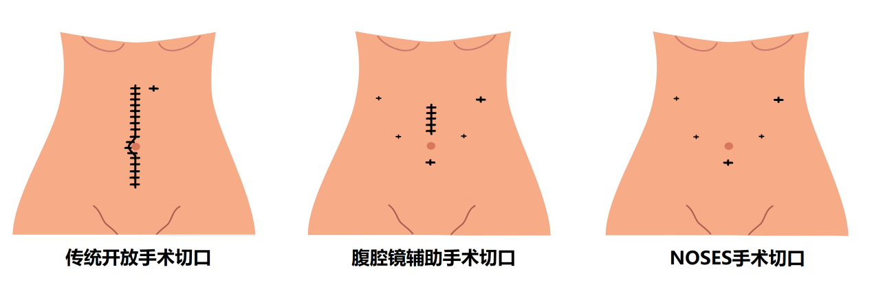微信图片_20241206101831.png