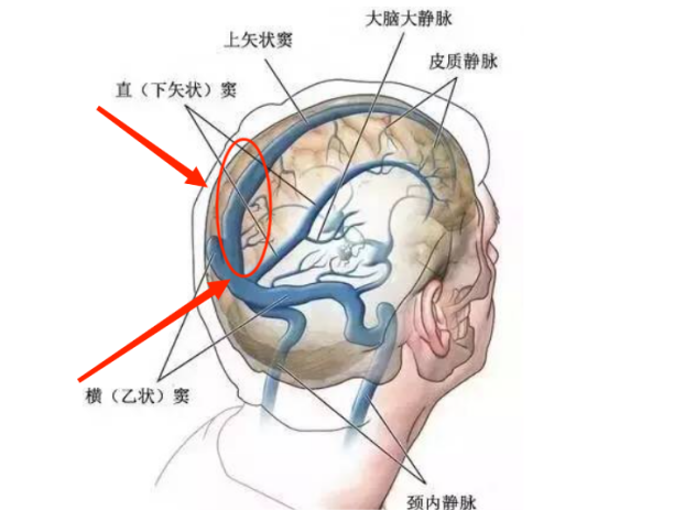 微信图片_20240730112054.png