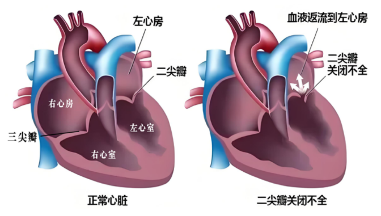 微信图片_20241224122349.png