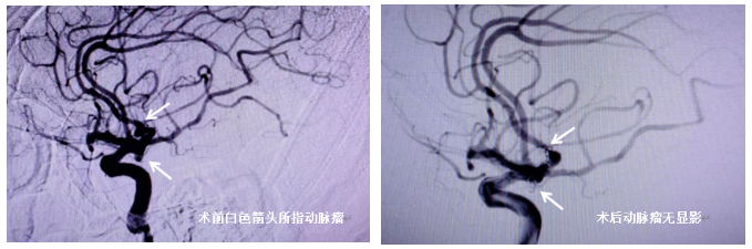 微信截图_20230627114634.png
