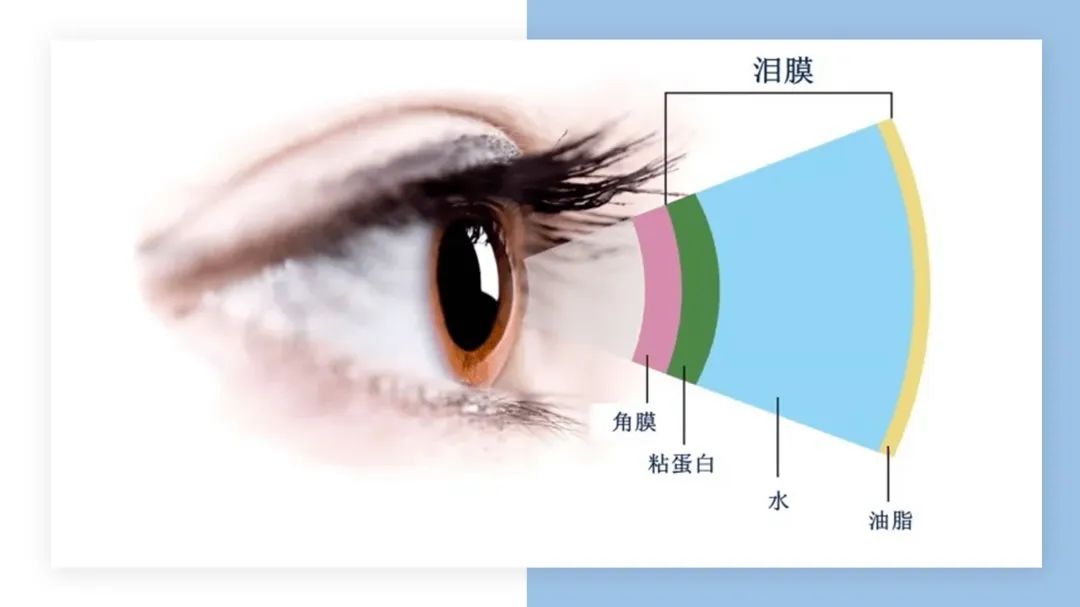 微信图片_20230627113312.jpg