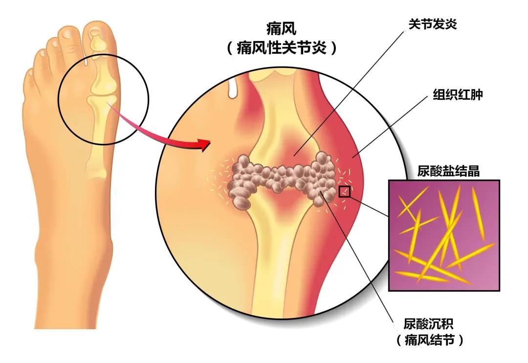 微信图片_20210210154159.jpg