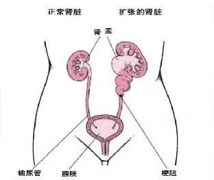 微信图片_20201123161316.jpg