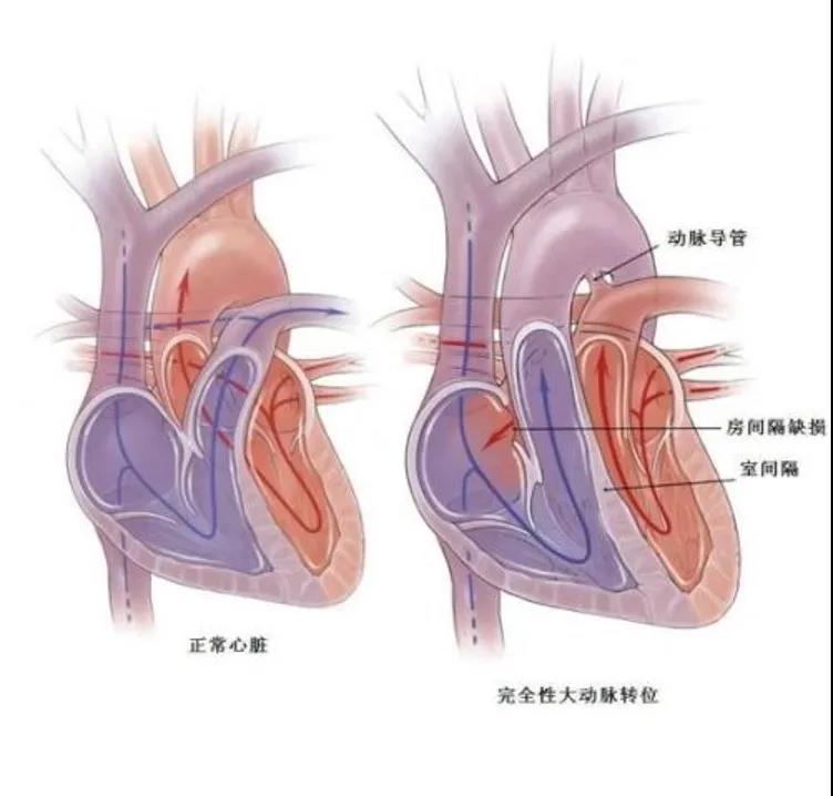 微信图片_20210226173657.jpg