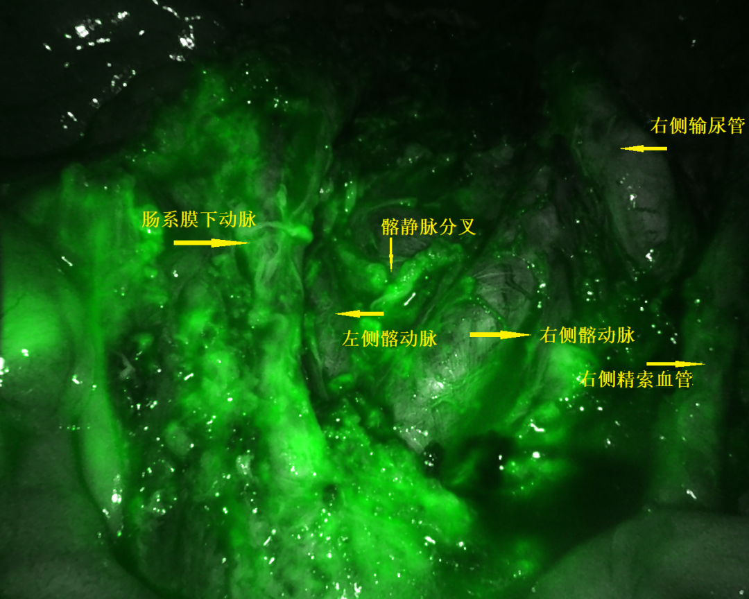 微信图片_20210531175536.png