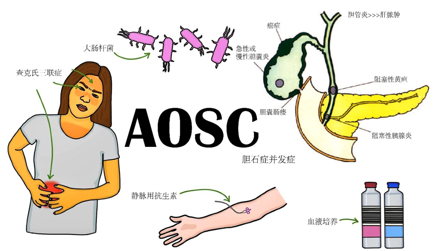 微信图片_20240627090109.png