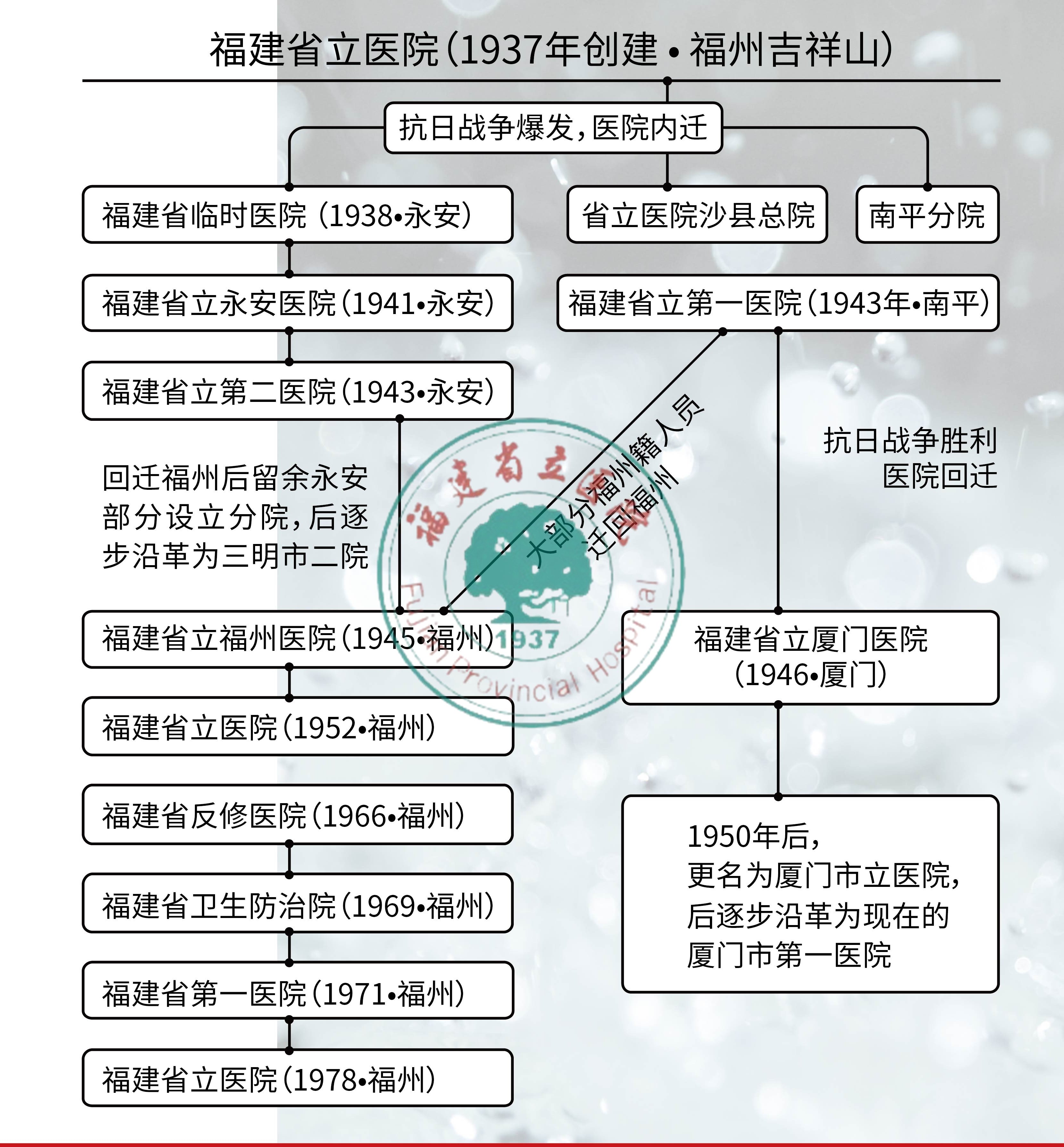 医院文化主题宣传展架120X175-013.jpg