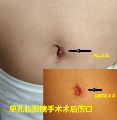 微信图片_20220902162026.png