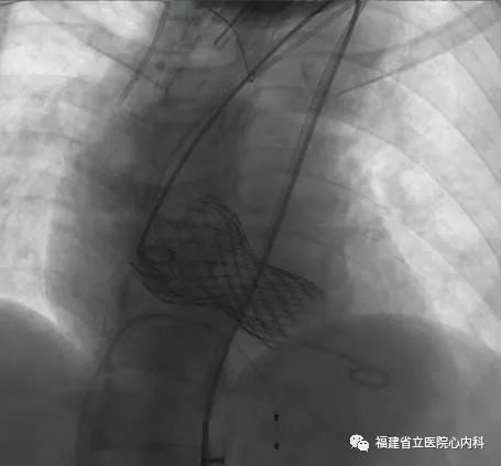 微信图片_20220418154810.jpg