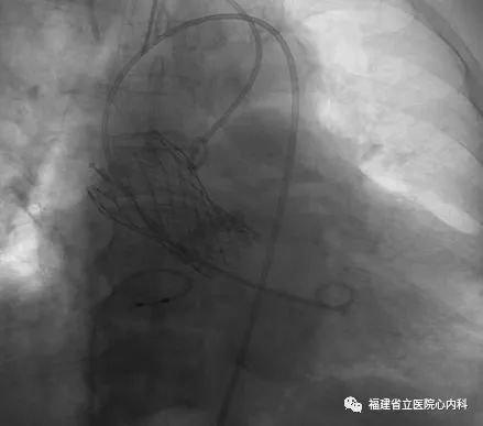 微信图片_20220418154807.jpg