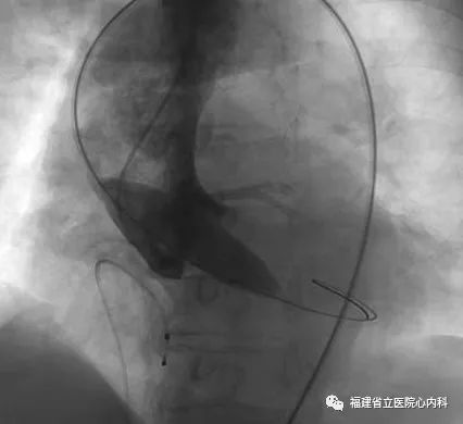 微信图片_20220418154806.jpg