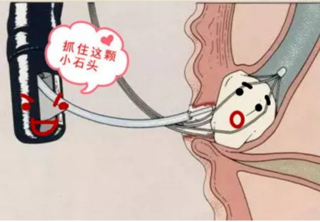 微信图片_20220601180822.png