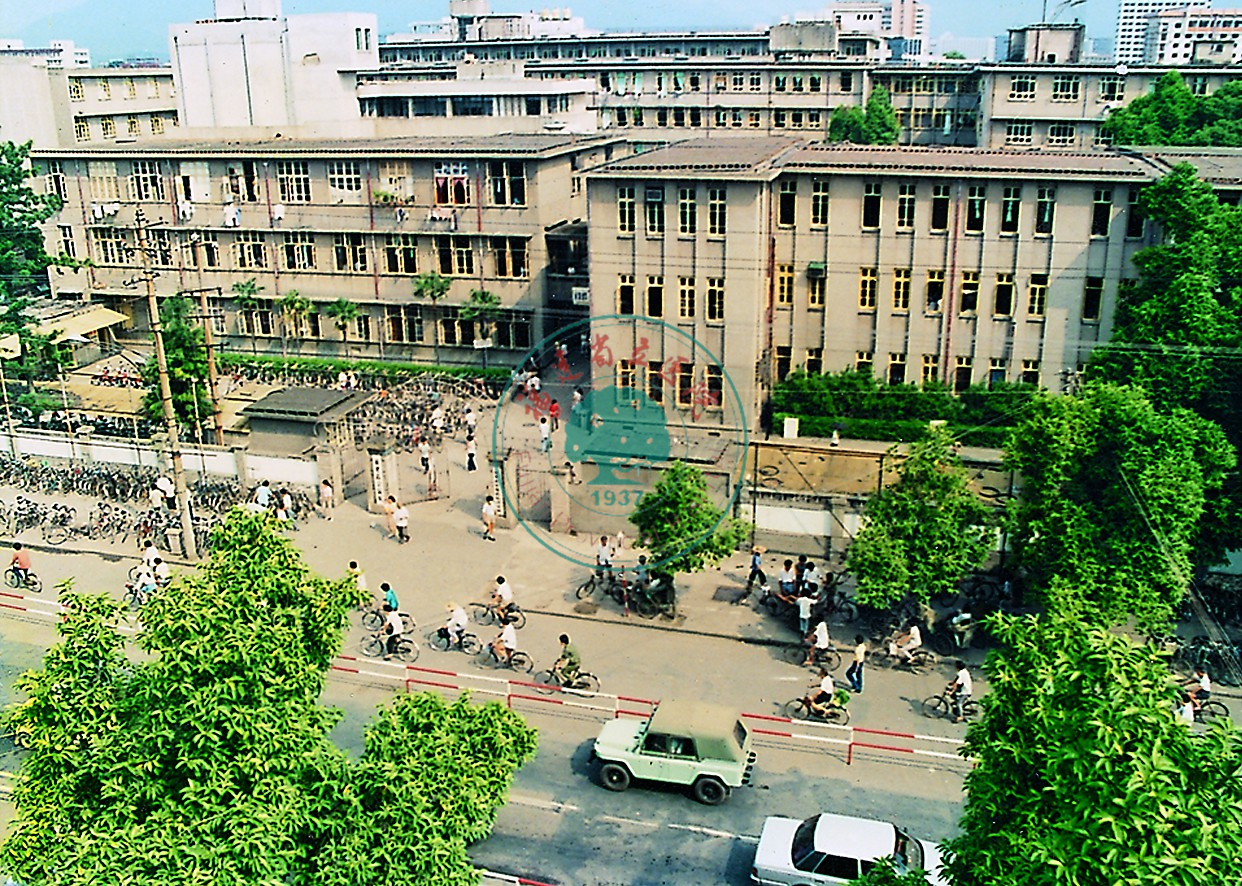 870948d.jpg