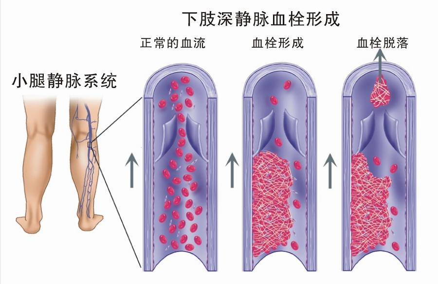 微信图片_20241021155603.png