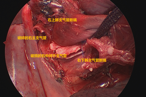 微信图片_20240521163443.png