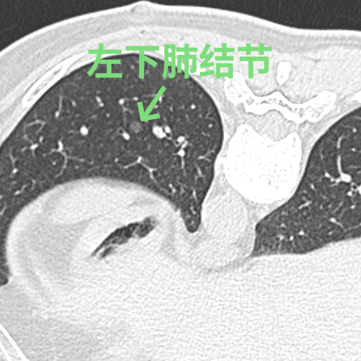 微信图片_20240419155641_1.png