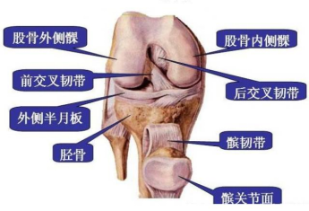 微信图片_20240209123810.png