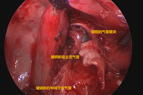 微信图片_20240521163441.png