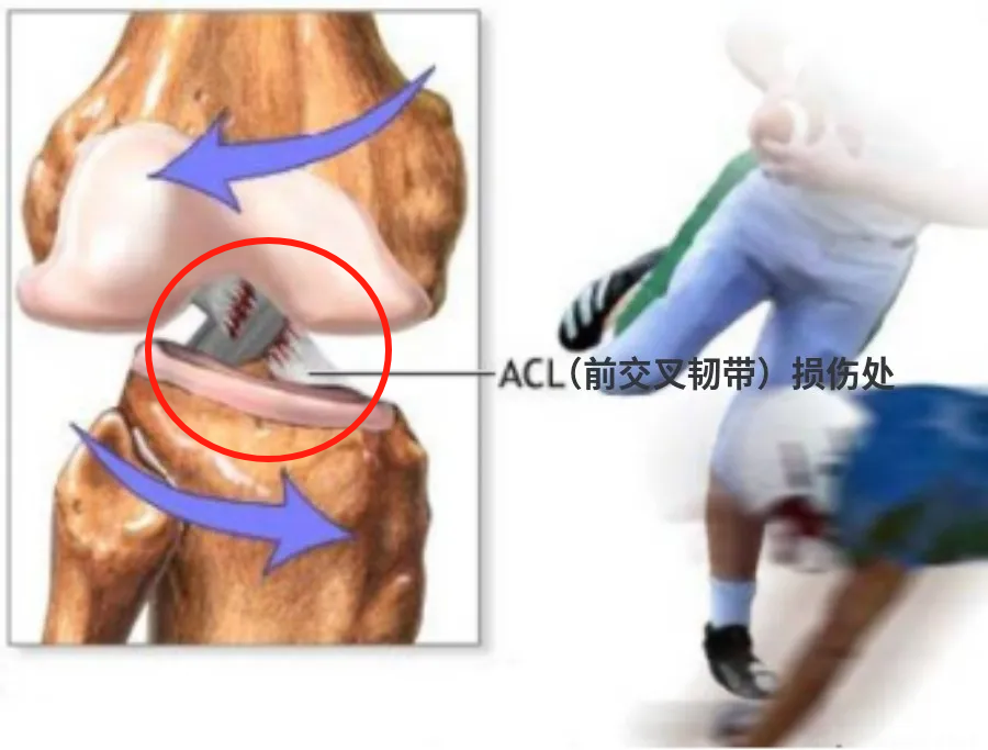 微信图片_20240209123811.png