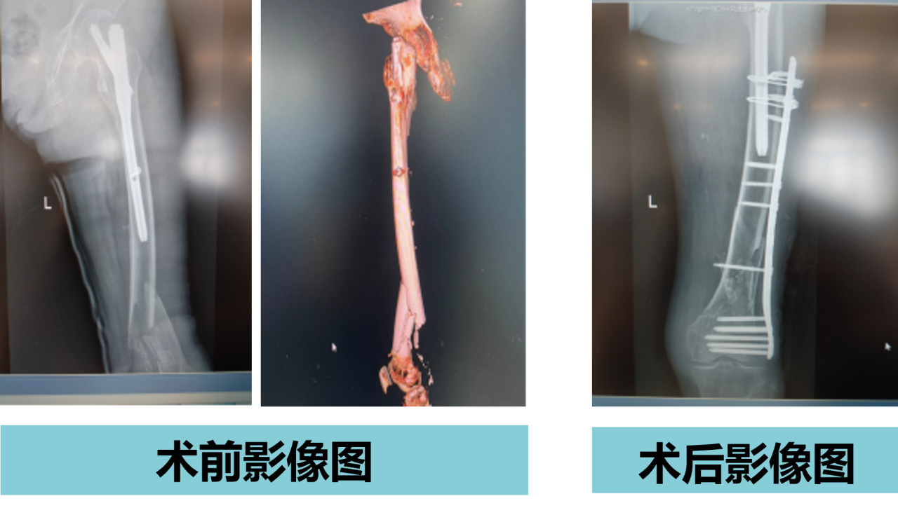 微信图片_20241021171152.png