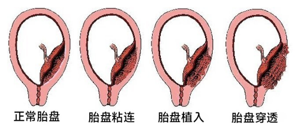 微信图片_20240227152249.png