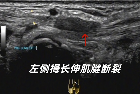 微信图片_2026-03-13_172834_595.png