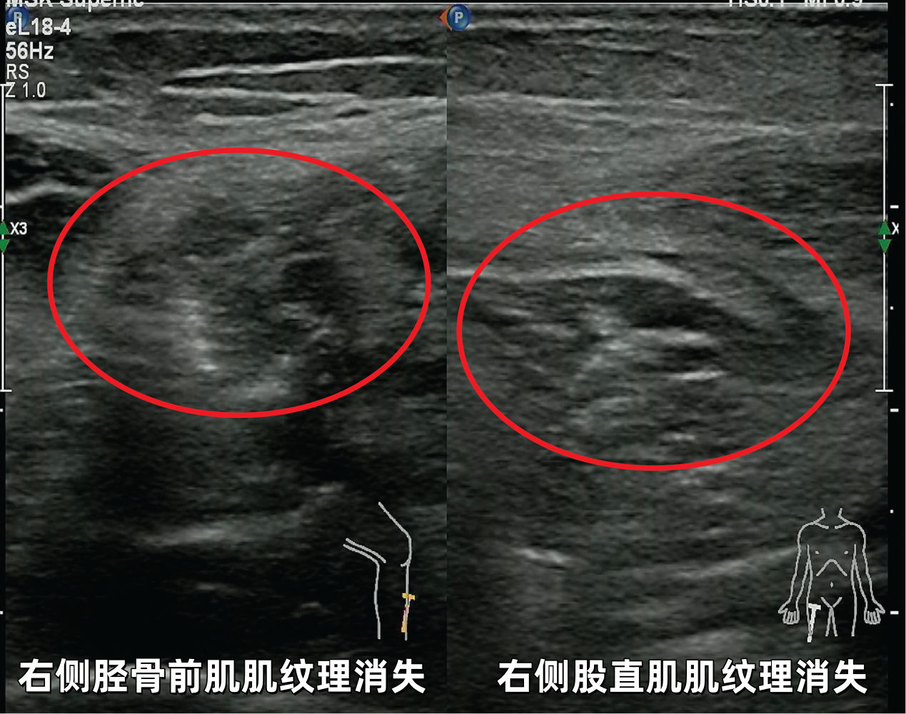 微信图片_2026-03-13_172826_490.png