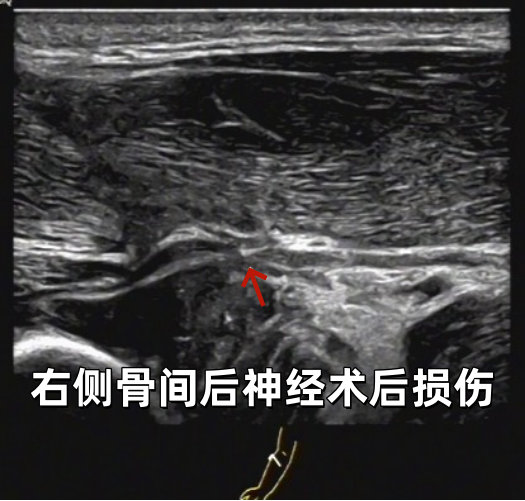 微信图片_2026-03-13_172832_922.png
