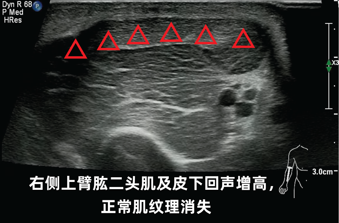 微信图片_2026-03-13_172828_250.png