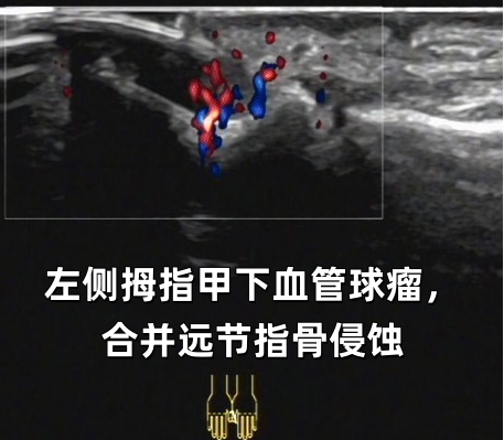 微信图片_2026-03-13_172831_369.png