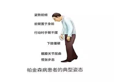 僵.jpg
